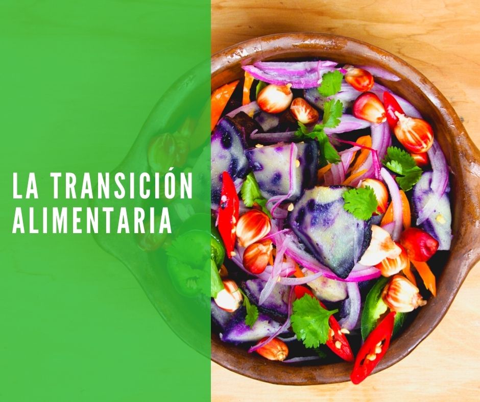 La transición alimentaria